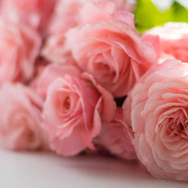 Что подарить невестке на день рождения - идеи в готовых списках.. Букет роз и коробка с подарком на день рождения