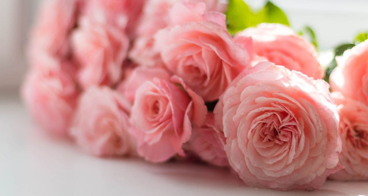 Что подарить невестке на день рождения - идеи в готовых списках.. Букет роз и коробка с подарком на день рождения